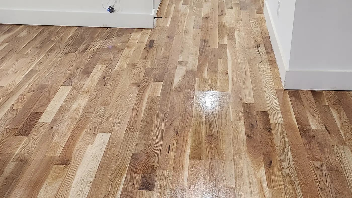 Hardwood floor staining and finishing