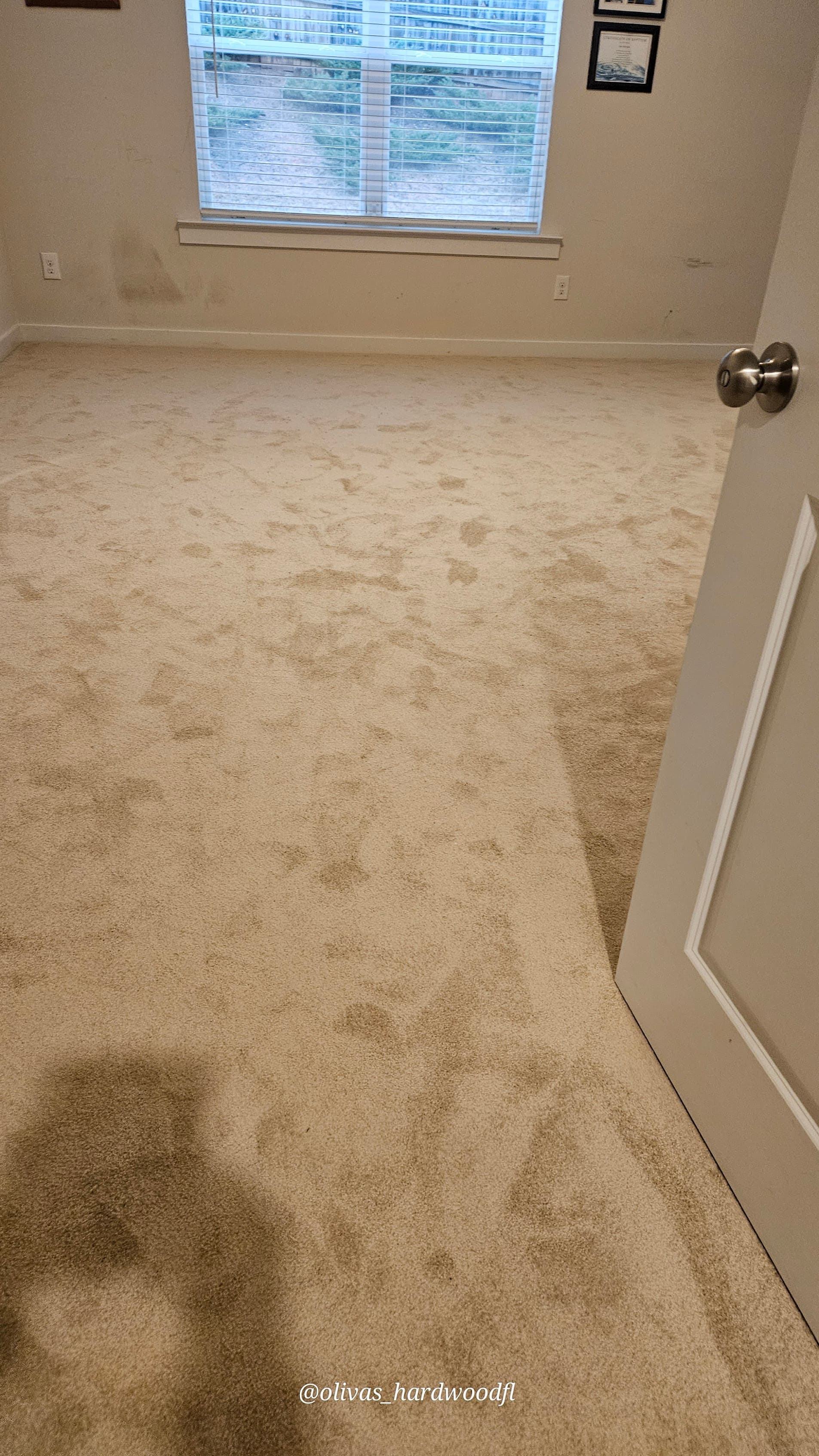 Carpet installation in a Metro Atlanta bedroom